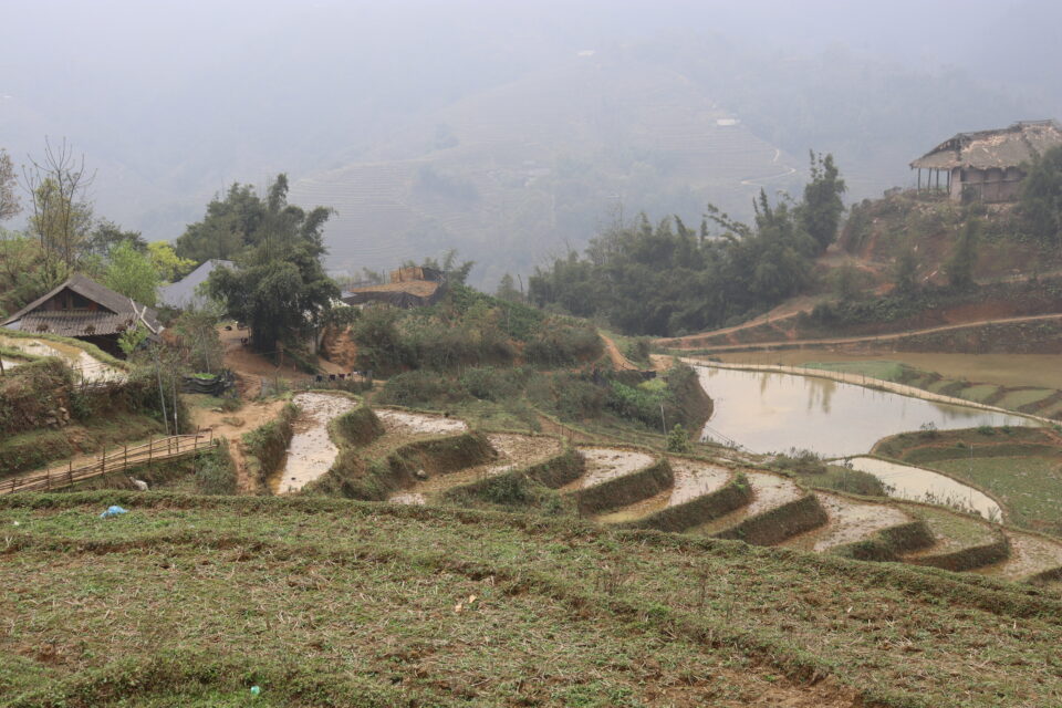 Risaie immerse nelle montagne di Sapa