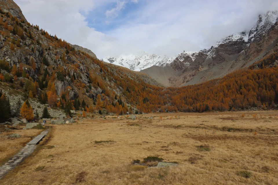 La vallata di Preda rossa, con i suoi caldi colori autunnali 