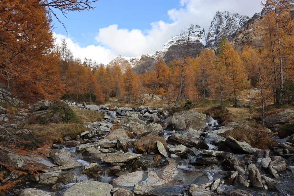 Il sentiero di Preda rossa che sale verso il rifugio Ponti 